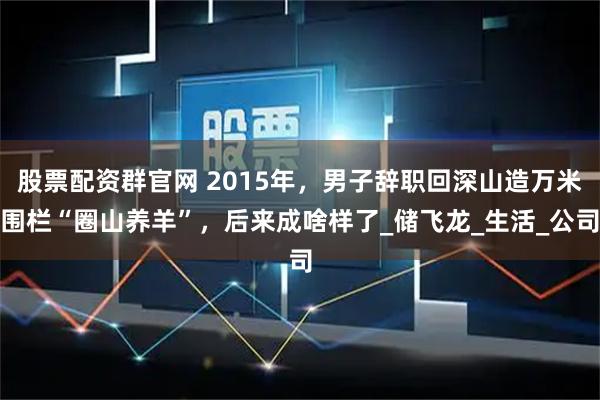 股票配资群官网 2015年，男子辞职回深山造万米围栏“圈山养羊”，后来成啥样了_储飞龙_生活_公司
