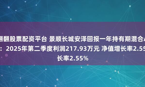 翻翻股票配资平台 景顺长城安泽回报一年持有期混合A类：2025年第二季度利润217.93万元 净值增长率2.55%