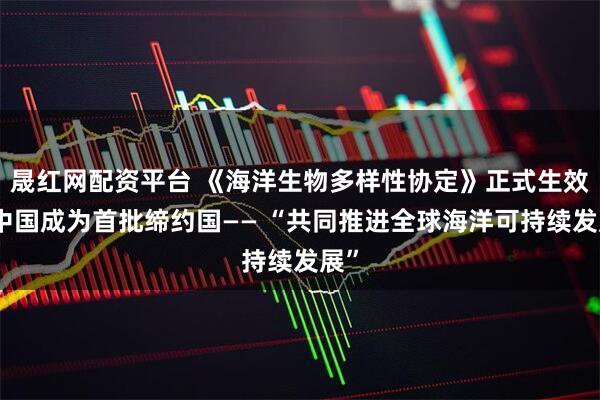 晟红网配资平台 《海洋生物多样性协定》正式生效，中国成为首批缔约国—— “共同推进全球海洋可持续发展”